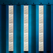 Load image into Gallery viewer, BirchSorb 1250 Hyperdesiccant - 1250ml absorption (Packed 10 + hangers)